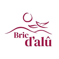 BRIC D'ALU