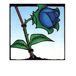 Associazione ONLUS “LA ROSA BLU”
