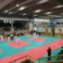 judo