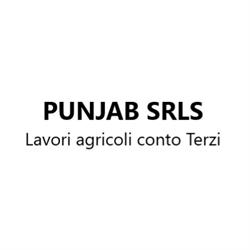 Punjab srls