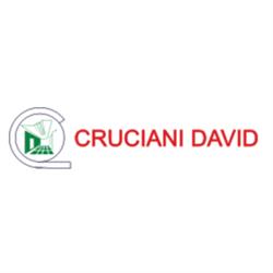 Impresa edile David Cruciani