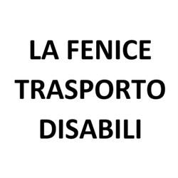 La Fenice  Trasporto Disabili