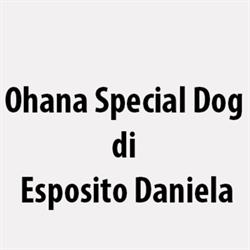 Ohana Special Dog di Esposito Daniela