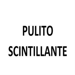 Pulito Scintillante