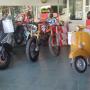Gallery Cliente