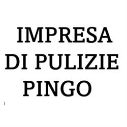 Impresa di Pulizie Pingo