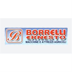 Borelli Ernesto