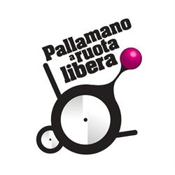 Progetto Pallamano a Ruota Libera