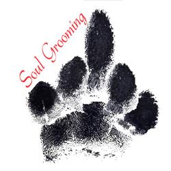 Soul Grooming