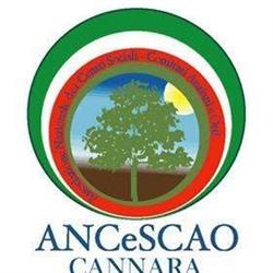 Centro Sociale Cannara