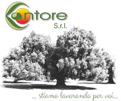 G&M Cantore - Frantoio Oleario