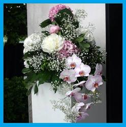 Il fiore dei fiori