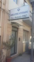 Ambulatorio Veterinario Dott . Antonio Pino
