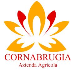 Cornabrugia Azienda Agricola Biologica