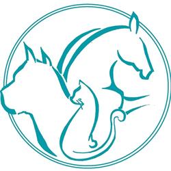 Ambulatorio Veterinario Il Colle