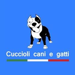 Cuccioli cani & gatti