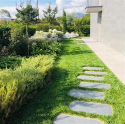 Migliore moss design e garden