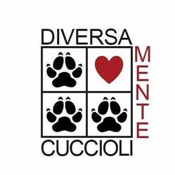 Diversamentecuccioli