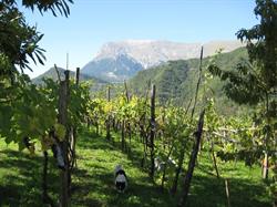 Agriturismo Casavecchia dei Sibillini