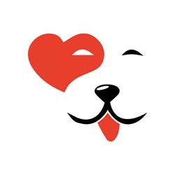 Smartdognapoli