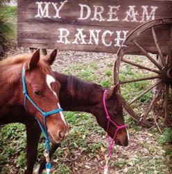 MY DREAM RANCH ASD
