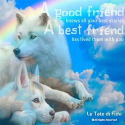 Le Tate di Fido