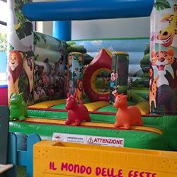 Il mondo delle feste Associazione Culturale