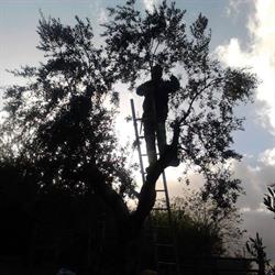 Azienda agricola montedonico