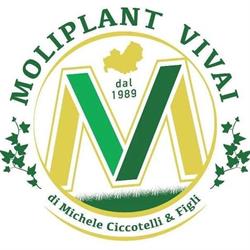 Moliplant Vivai