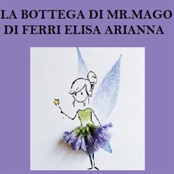 La Bottega Di Mister Mago di Ferri Elisa Arianna
