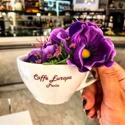 Caffè Europa