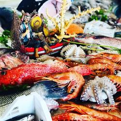 Pescheria Campisi Mondo Mare