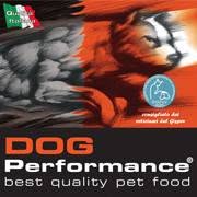 DOG Performance