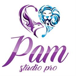 Pam Studio Pro
