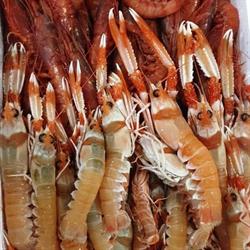 Pescheria Alto mare