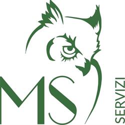 MS Servizi srl