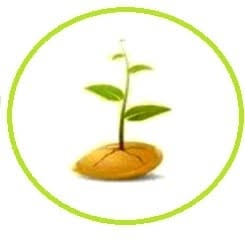 Associazione 'Il Seme' Nizza Monferrato