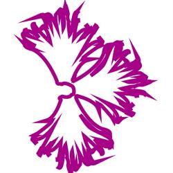 Dianthus Giardini