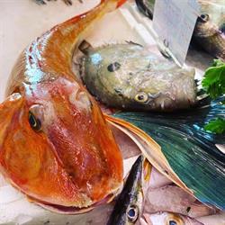 Pescheria Sant’Anna snc