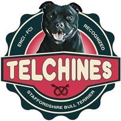 Telchines