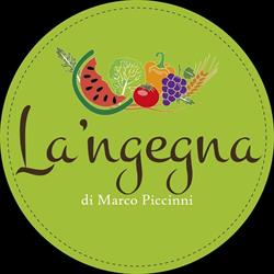 Frutta e verdura di Piccinni Marco