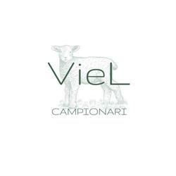VieL Campionari