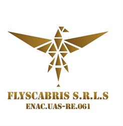Flyscabris