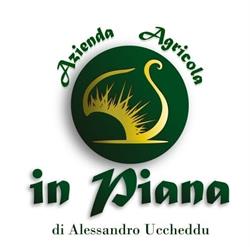 Azienda Agricola In Piana