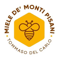 Miele de' Monti Pisani