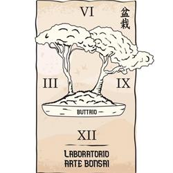 Laboratorio Arte Bonsai Buttrio