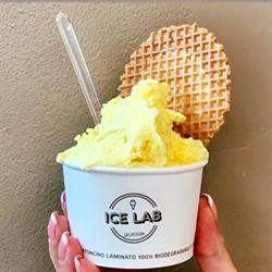 Ice Lab Gelateria