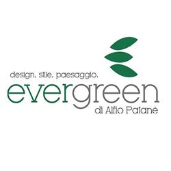 Evergreen di Patanè Alfio