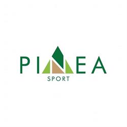 Calcio Pinea