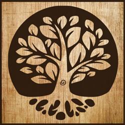 Radici di Legno